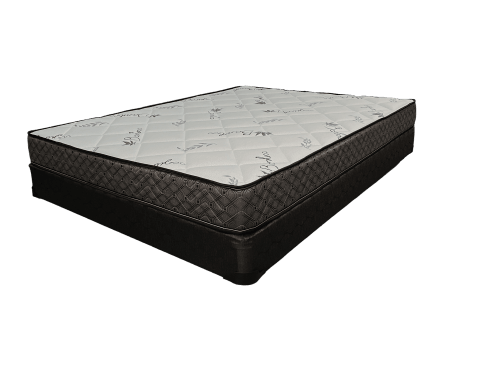 Dreamopedic Tight Top Mattress - Furniture Empire