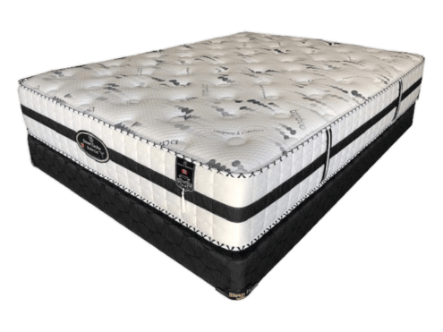 Dream Catcher Flippable Mattress - Furniture Empire